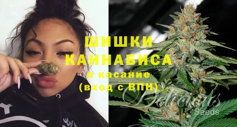 Бошки марихуана SATIVA & INDICA  где можно купить   Микунь 